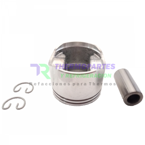TR17-44072-00 PISTON TWINPORT 41CFM STD