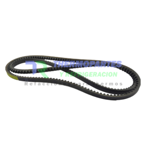 TR50-00178-24 BANDA AL ABANICO