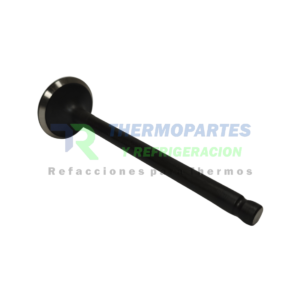 TR-11-9649 VALVULA ESCAPE MOTOR TK 376
